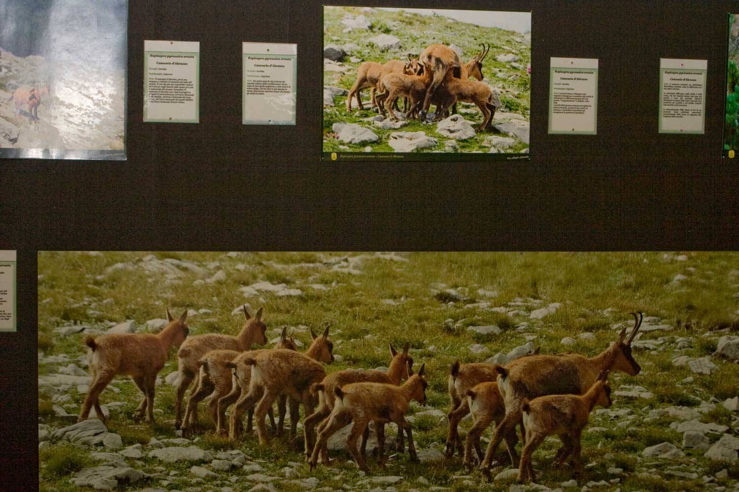 Mostra fotografica: 